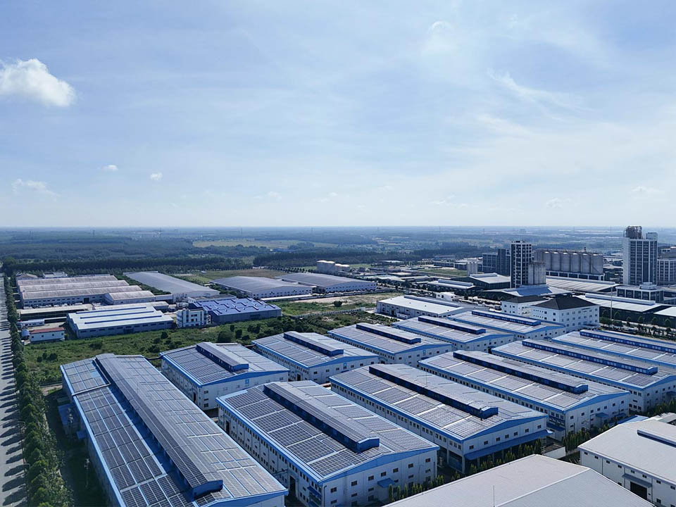 Company Profile Company Profile